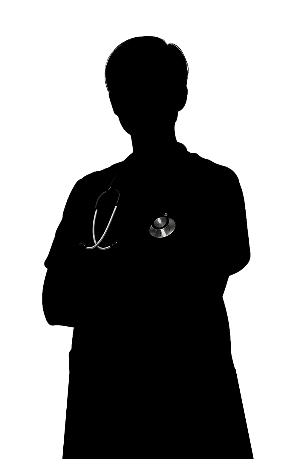 Veterinär siluette